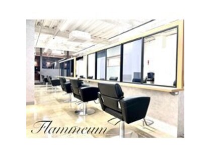 フラミューム 八王子北口店(flammeum)の写真
