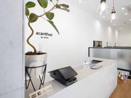 アカンサス バイ ミリー 高槻店(acanthus by milly)の写真