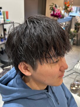スターズ(STARS) ショートウルフ