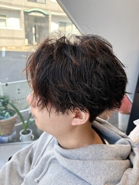 アプリコ(APREKO) メンズツイスパ