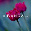 バンカ プラスエヌ(BANCA+n)のお店ロゴ