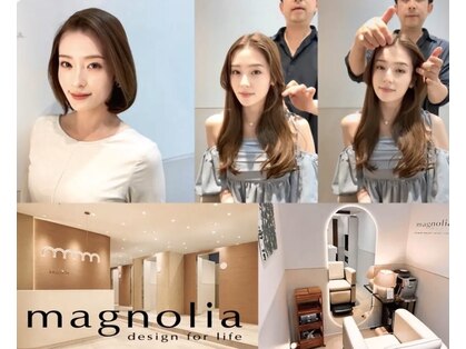 マグノリア(magnolia)の写真