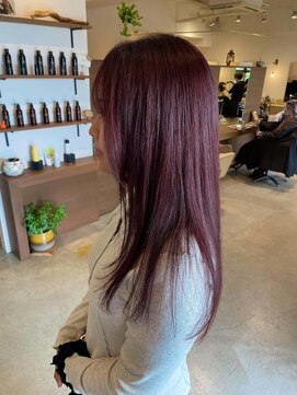 ドレス(DRESS) チェリーブラウンカラー