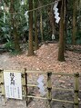 ベラ(Bella)&nbsp;宮崎県の青島！皿を投げる神社で願い事が叶うみたい！最&高！