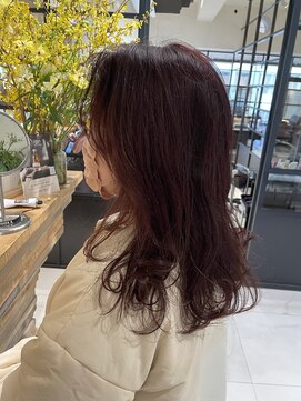 スタジオ ノル(studio noll) 【新宿　studio noll やまだ】くすみぴんく　230403