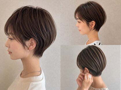 カイ(kai)の写真