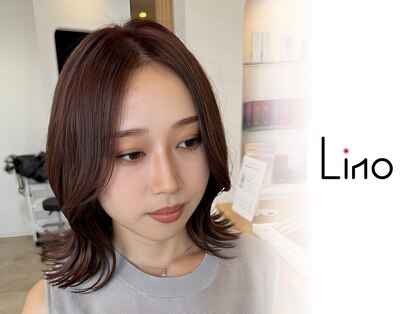 リノ(Lino)の写真