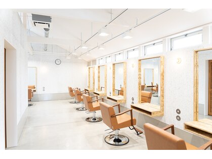 コモドルポ(comodo rupo)の写真