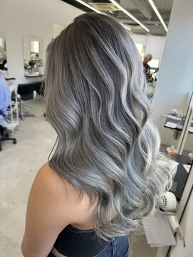 ディーエヌエー バイ エゴル(DiNA by ENGOL) シャドウルーツ/シルバー/ハイトーンカラー