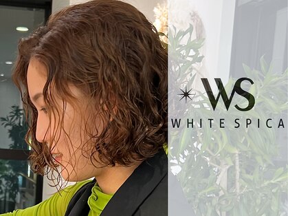 ホワイトスピカ(WHITE SPICA)の写真