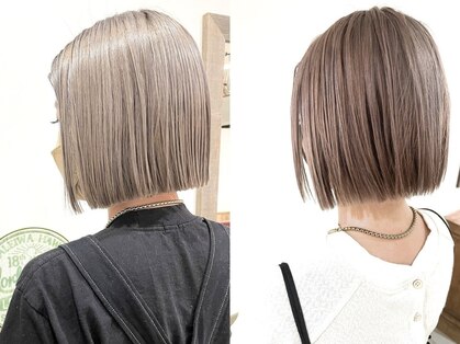 ノーム(Norm)の写真