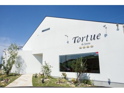 トルチュディジャンナ(Tortue de Janna)の写真