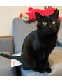 キュレ(Cu re)&nbsp;3歳の保護猫ちゃんです。寝るときはいつも一緒♪