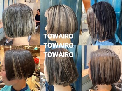 トワイロ(TOWAIRO)の写真