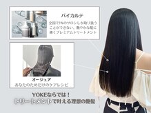 ヨーク(YOKE)の雰囲気（全国で1%のサロンでしか取り扱えない「バイカルテ」もご用意♪）