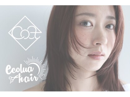 エコルアヘアー(ecolua hair)の写真
