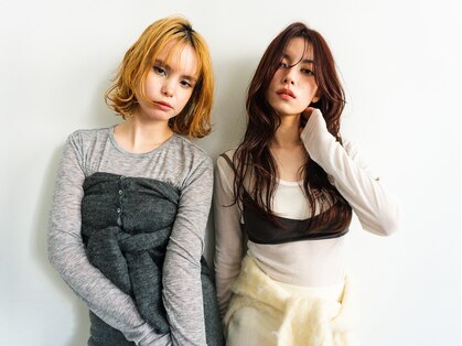 ベター(better)の写真