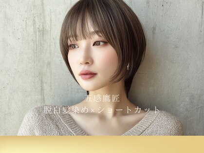 五感鷹匠 髪の診療所の写真