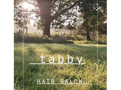 タビー(tabby)の写真