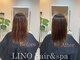 リノ(LINO)の写真