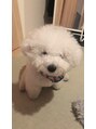 美容室 マシュー(Matthew)&nbsp;うちの愛犬です。癒し。。