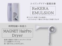 スウィッチ(Switch)の雰囲気（［ReKERAEMULSION］［MAGNEThairProDryer］取扱店）