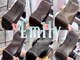 エミリー(Emily)の写真