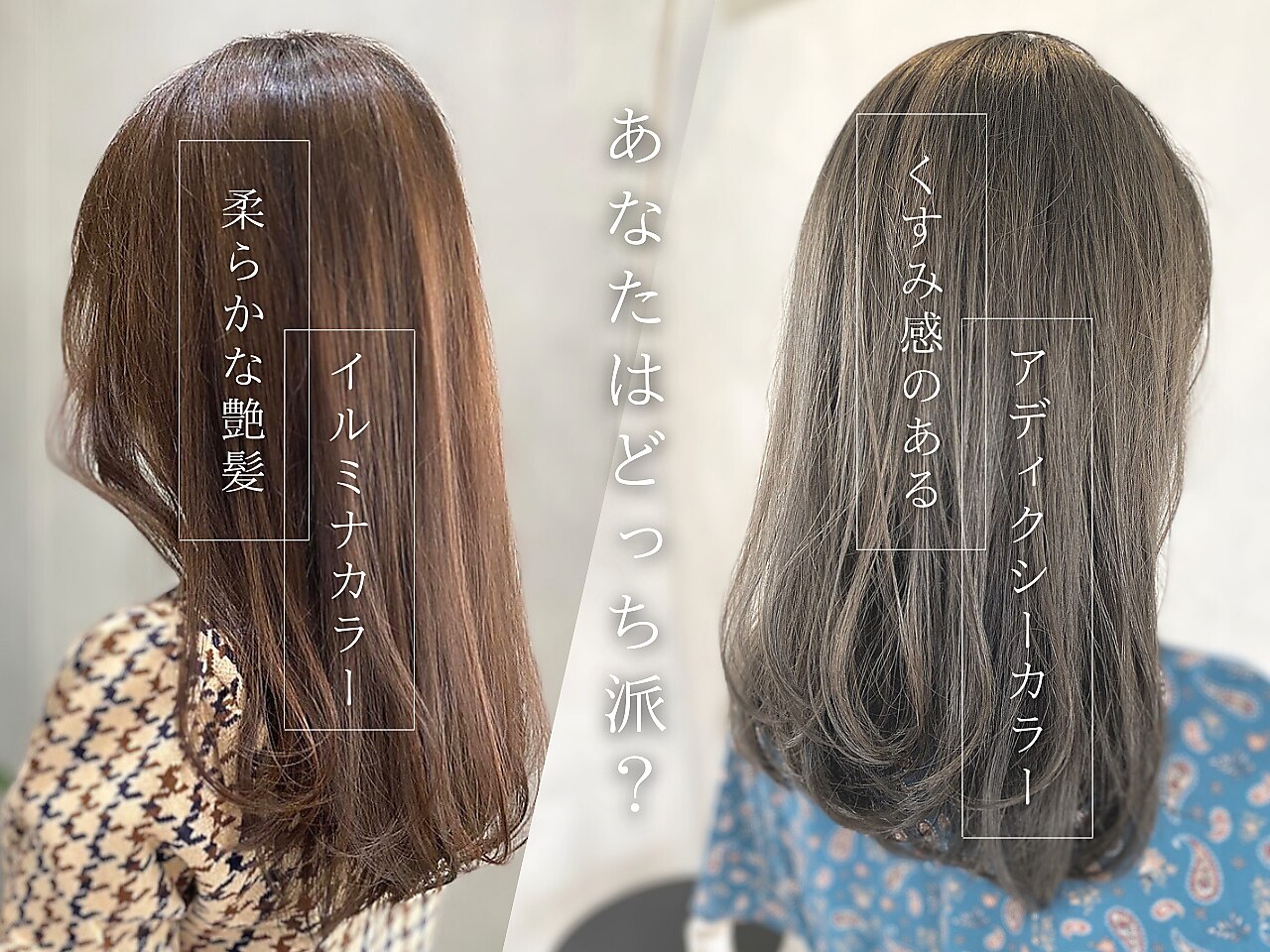 12ページ目｜リンゴ幹細胞トリートメントに関する美容院・美容室