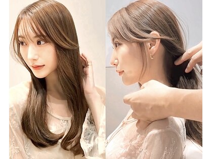 マグノリア(magnolia)の写真