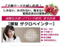 ※ザクロペインター※ ジアミンフリー☆敏感肌にオススメ☆ハリコシ・弾力・艶が甦ります♪