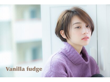 バニラファッジ(Vanilla fudge)の写真