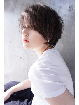 ザセクター(the sector) エキゾチックハンサムショート