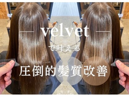 ベルベット(velvet)の写真