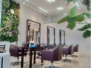 Hair salon Anemone