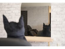 ねこの王子様。の雰囲気（全席ねこ型クッションが置いてあります♪）
