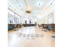 ニューモヘアー 立川(Pneumo hair)
