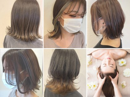 モプレア(MOPLEA)の写真
