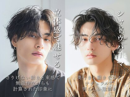 デネブ(Deneb)の写真