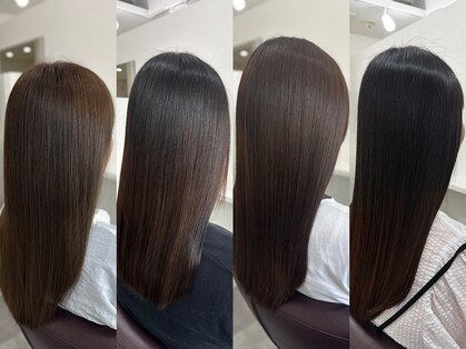 ネルケ(nelke)の写真