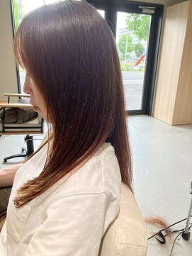 本と南風 guest design