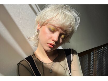 テイ(tei)の写真