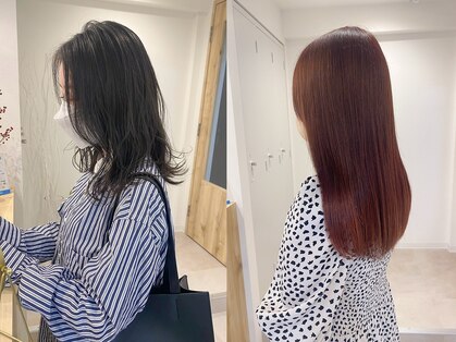 イロ(iro)の写真