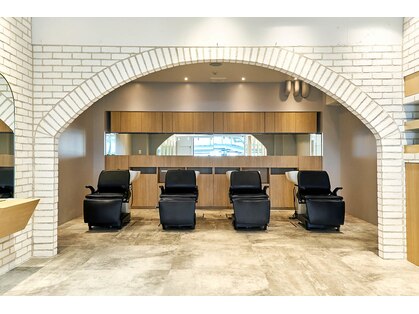 スターチス 行徳(statice)の写真