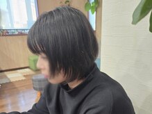 フィカス(Ficus)
