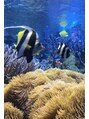 ブルー(Blu)&nbsp;水族館巡りが好きです！