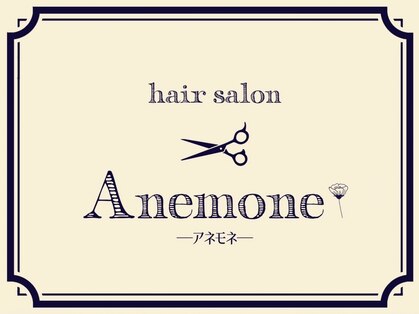アネモネ(Anemone)の写真