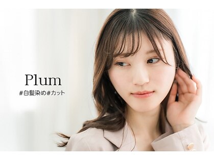 プラムの写真
