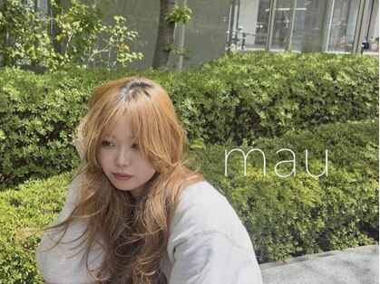 マウ(mau)の写真