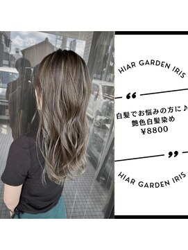 アイリス(IRIS) ハイライト