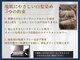 睡蓮 平井店の写真